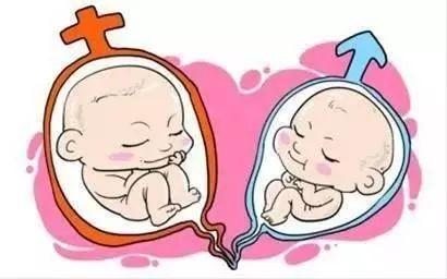 关于代生试管机构